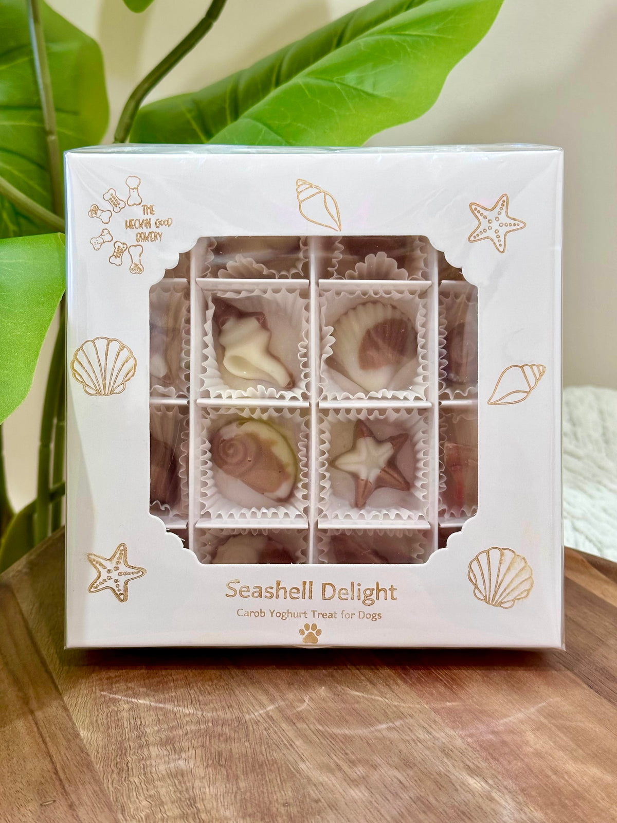 Seashell Delight