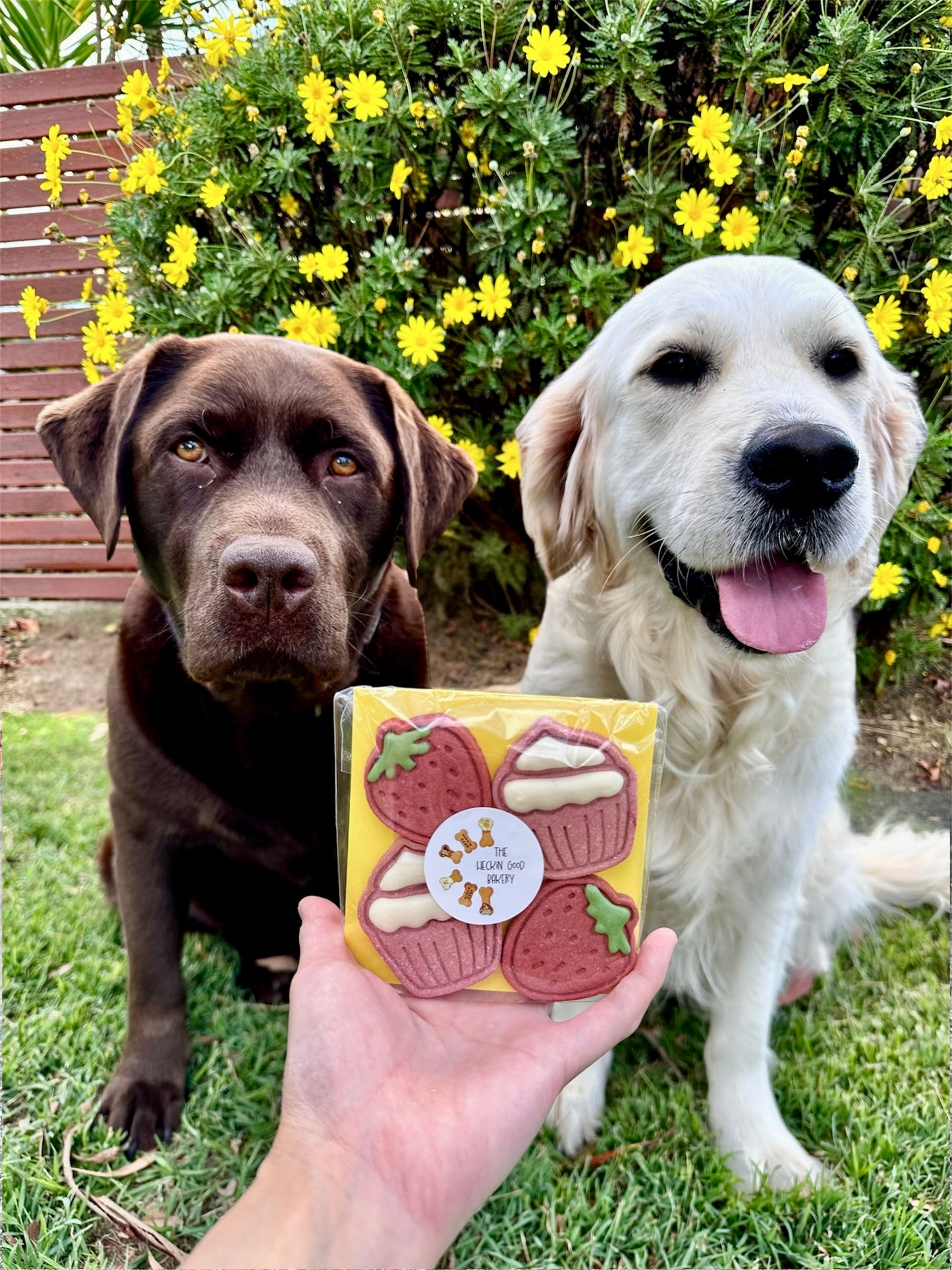 Strawberry & Cupcake