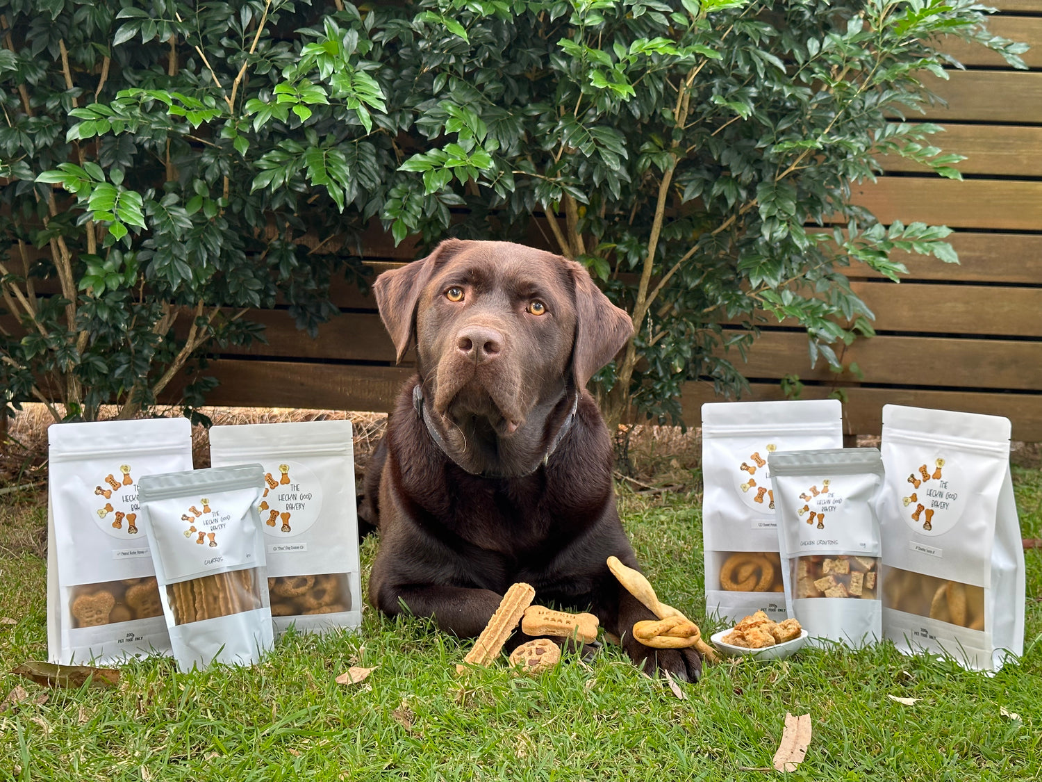 Halloween Collection – The Heckin Good Bakery