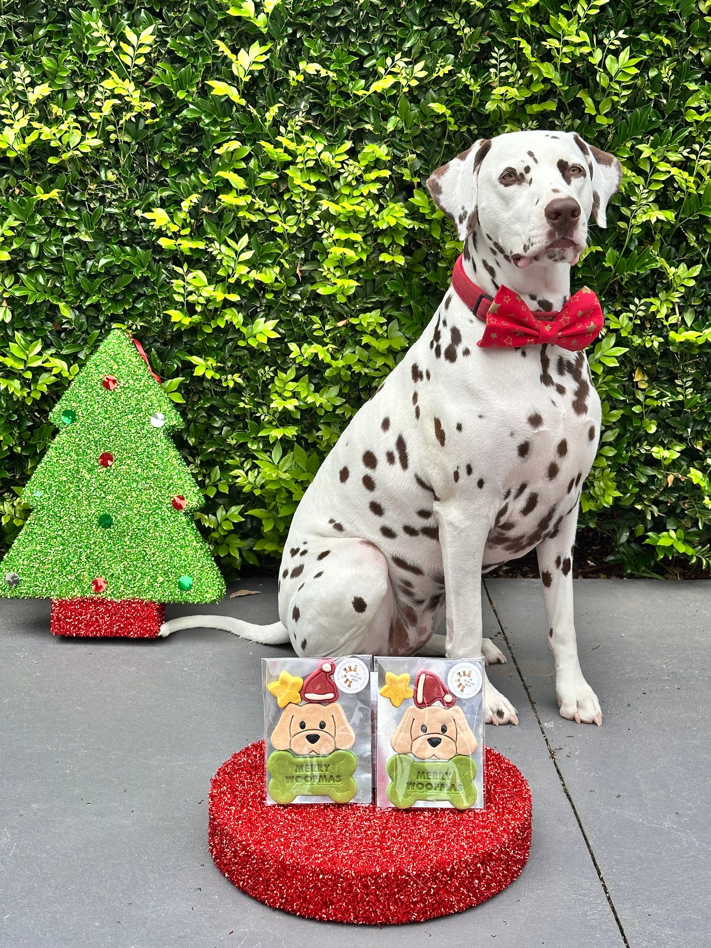 Santa Paw Cookie Set