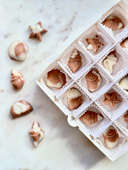 Seashell Delight