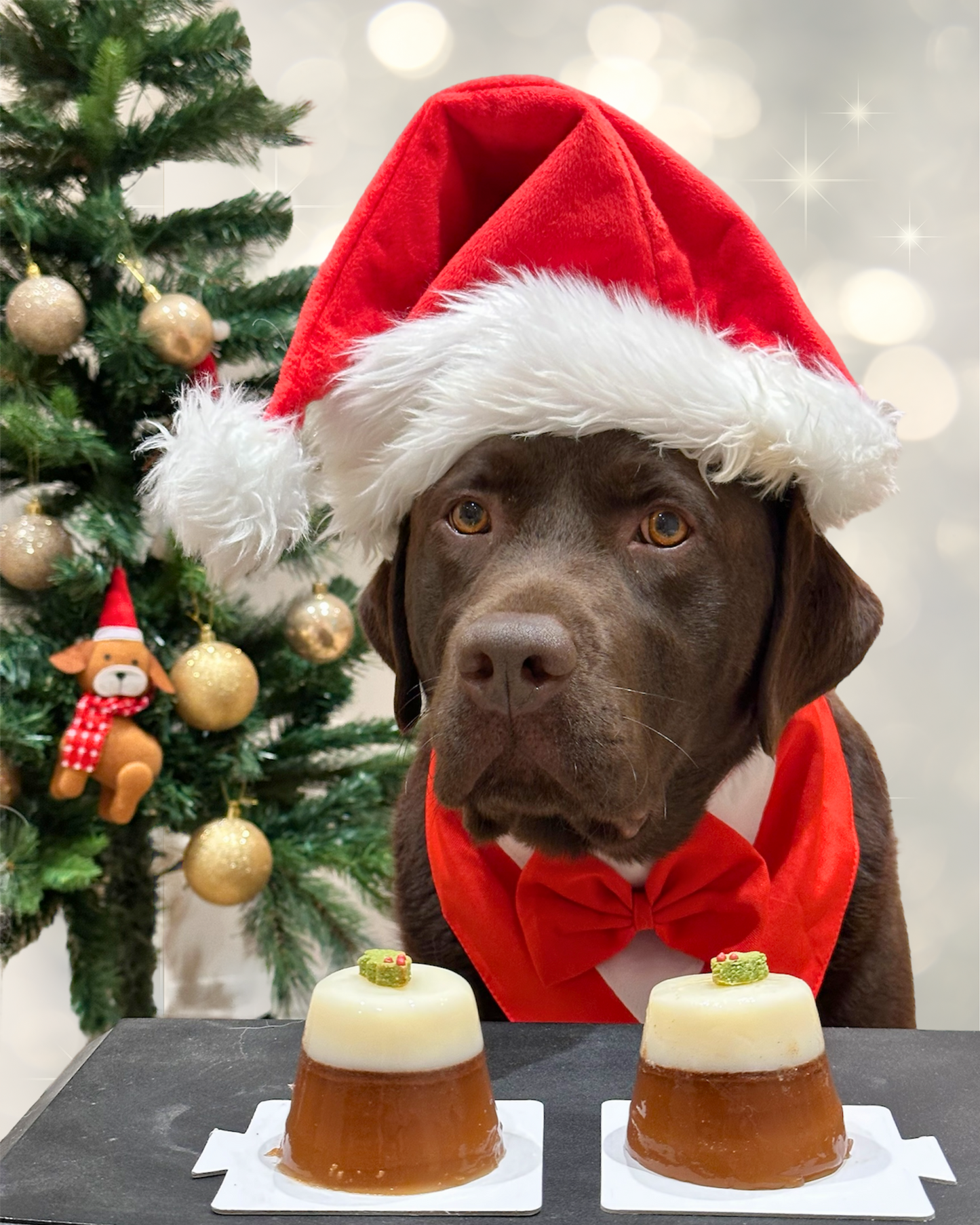 Woofmas Jelly - DIY kit