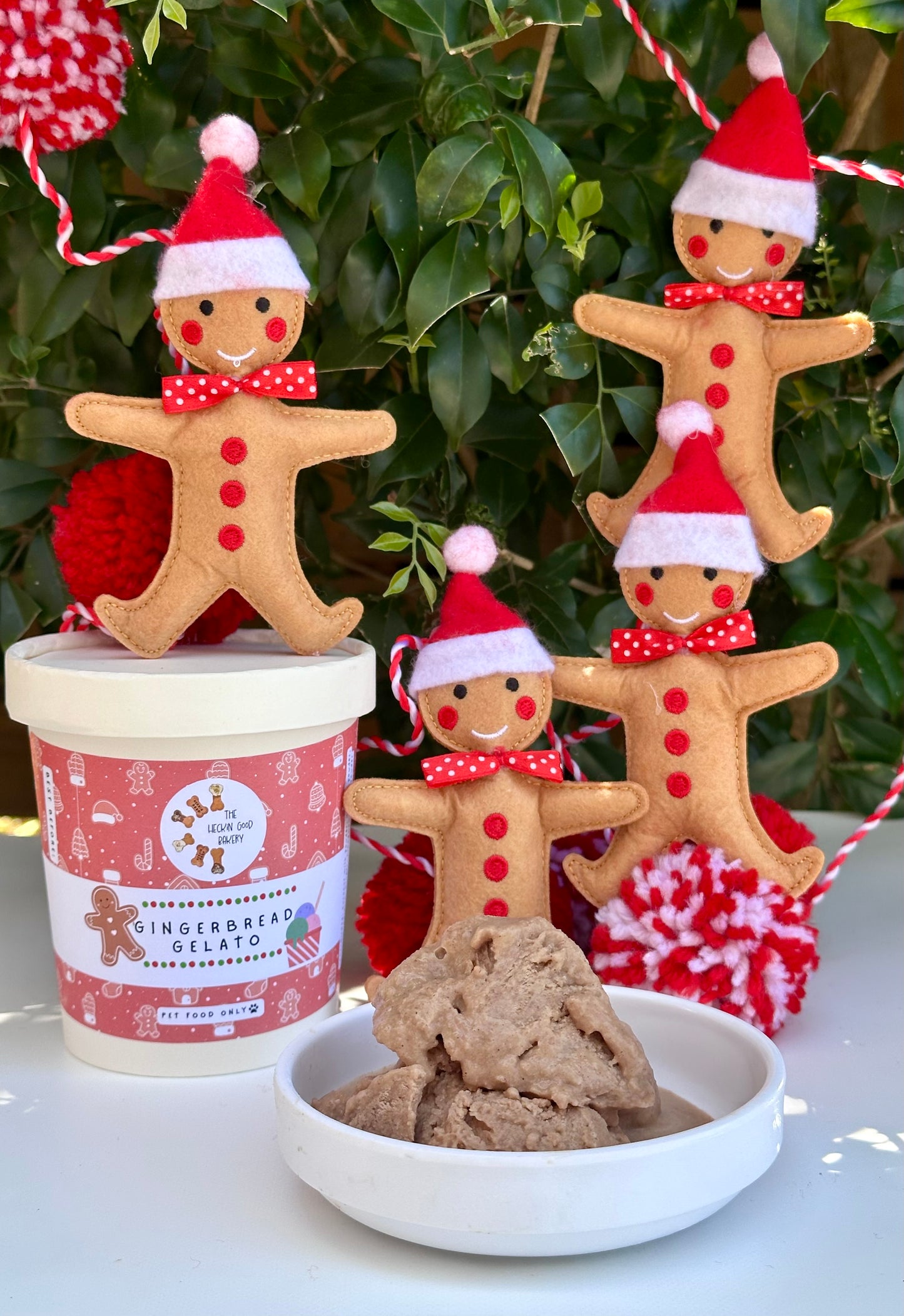 Gingerbread Gelato DIY Kit