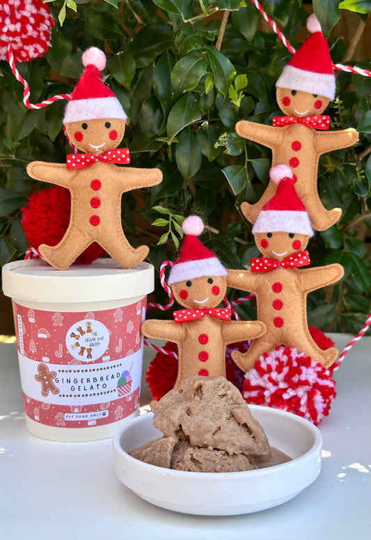 Gingerbread Gelato DIY Kit