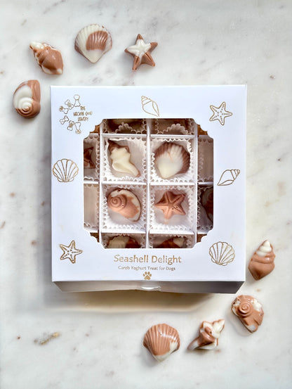 Seashell Delight