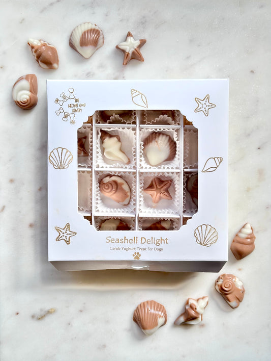 Seashell Delight