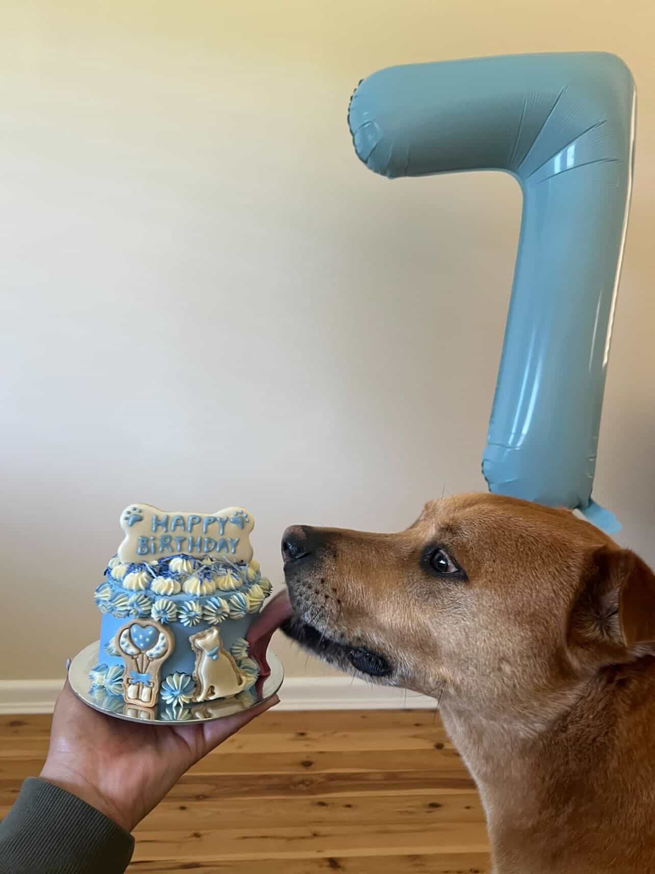 Birthday Cake - Blue