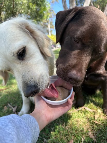 Gingerbread Gelato DIY Kit