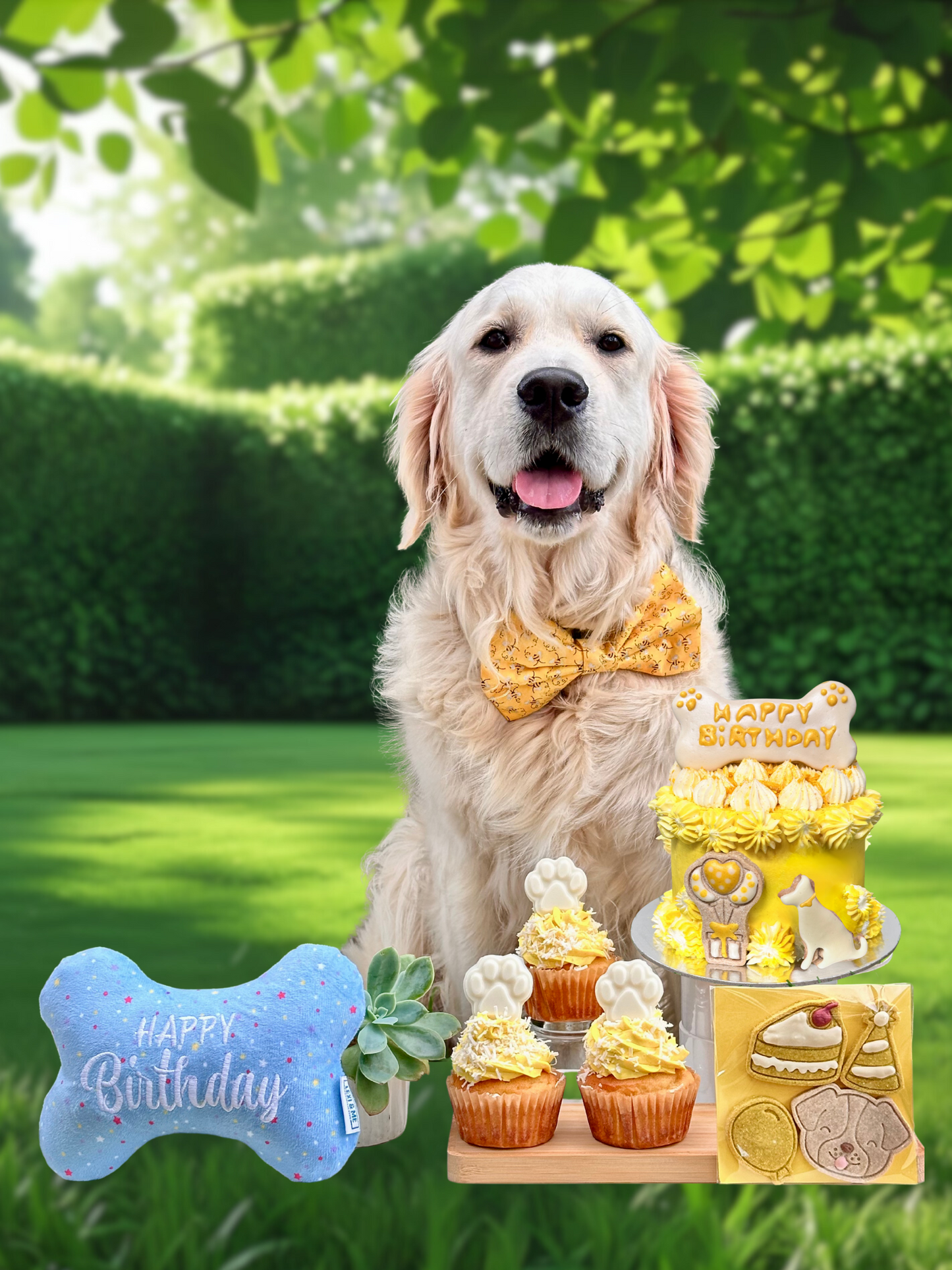 Birthday Cake - Yellow